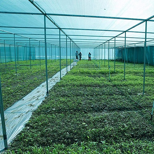 Green Shade Net